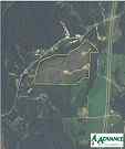 Advance Land and Timber Land for sale property_imgs/7843_thumb.jpg