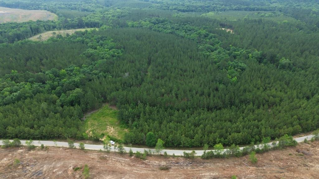 Advance Land and Timber Land for sale property_imgs/799fc232a527e7a7d6435c945083a329_2290.jpg