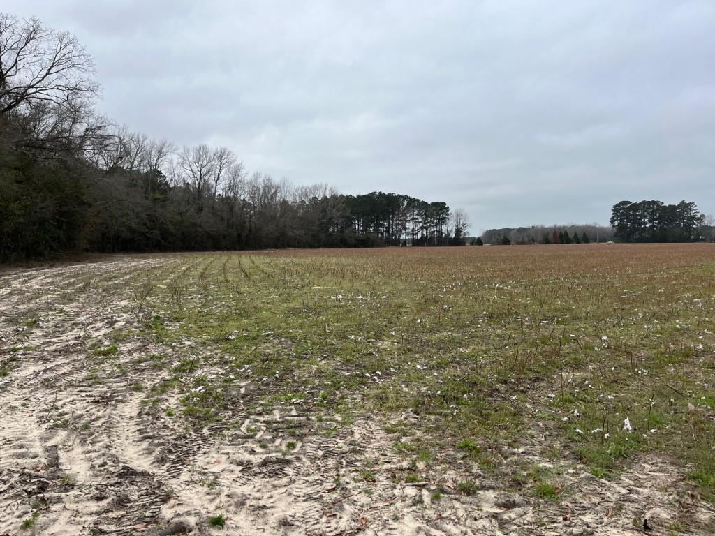 Darlington County South Carolina Land for Sale