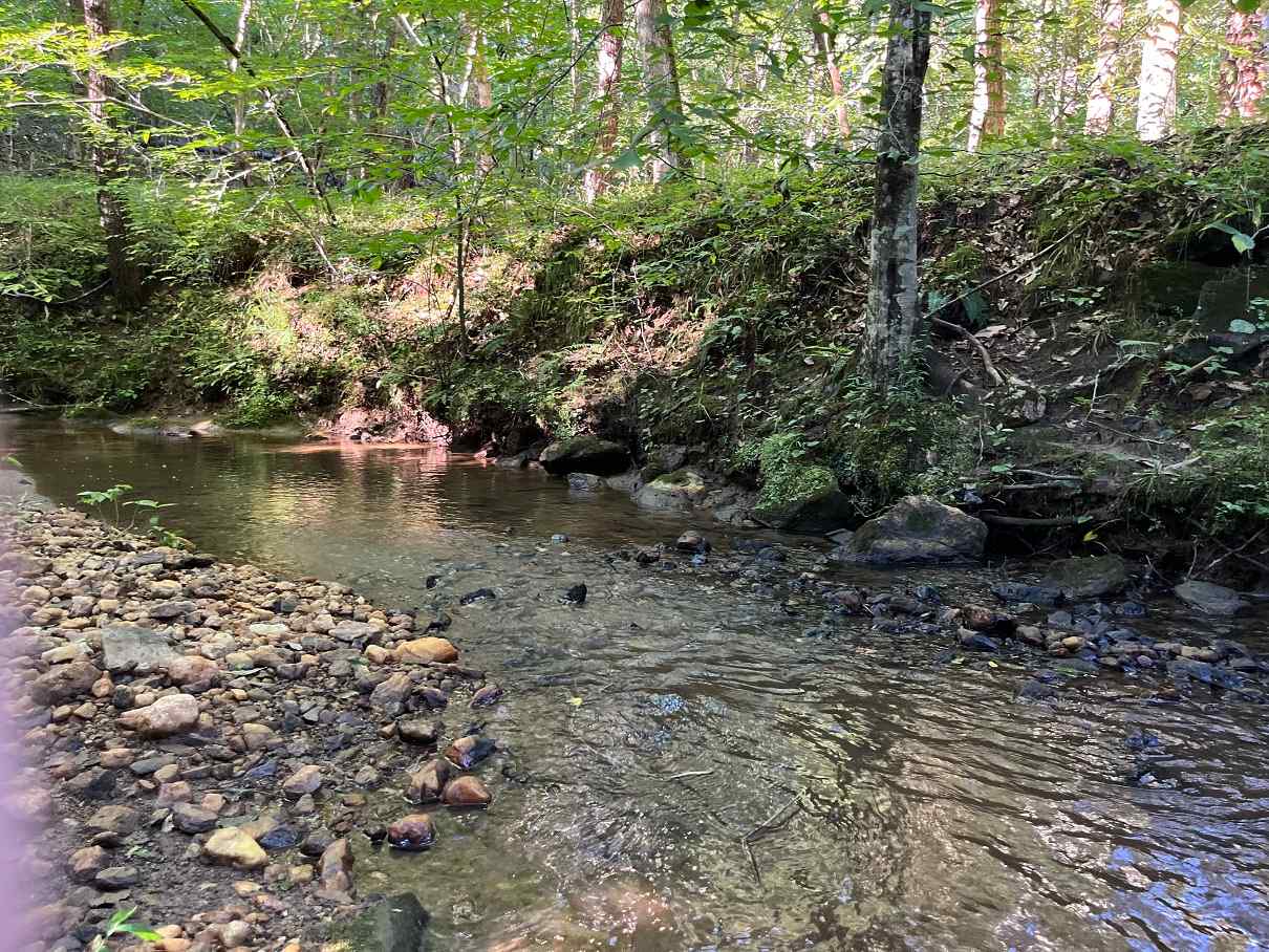 Advance Land and Timber Land for sale property_imgs/7c022d9c6dd601e087e186ee6dfe1fc7_1857.jpg