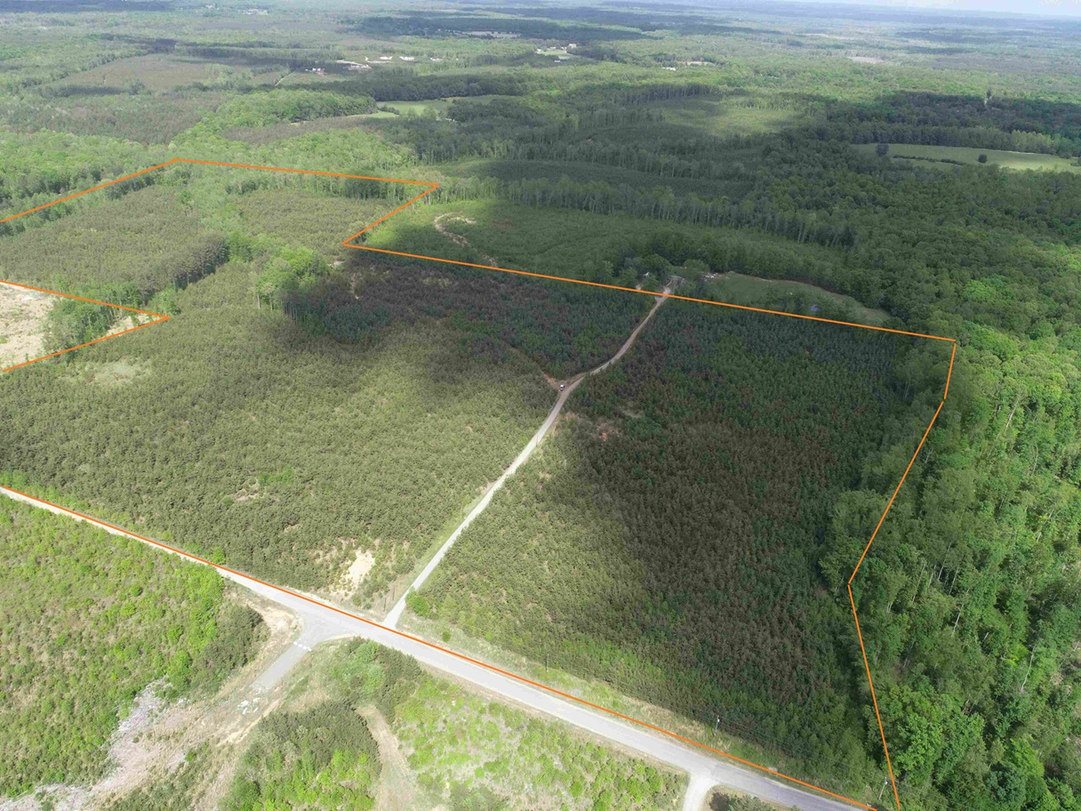 Advance Land and Timber Land for sale property_imgs/7ec2442aa04c157590b2fa1a7d093a33_2308.jpg