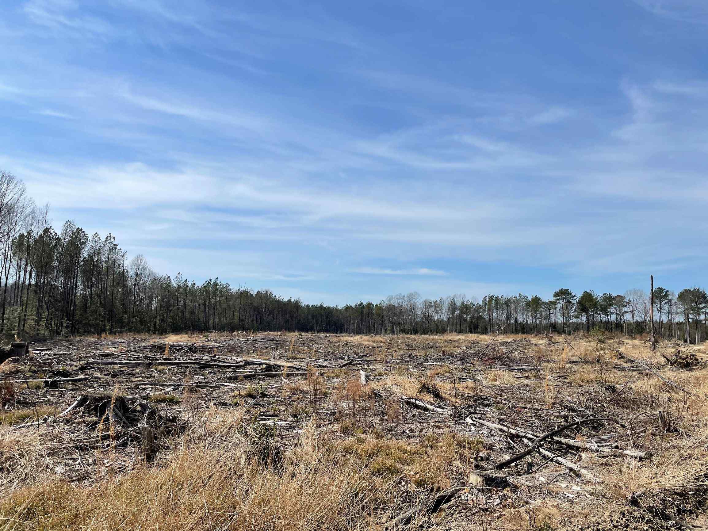 Advance Land and Timber Land for sale property_imgs/7~106.jpg