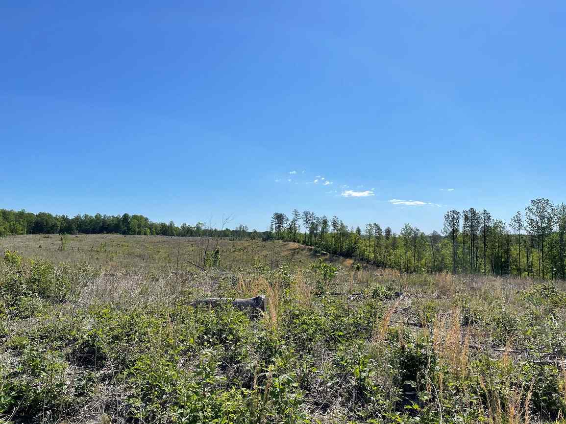 Advance Land and Timber Land for sale property_imgs/7~118.jpg