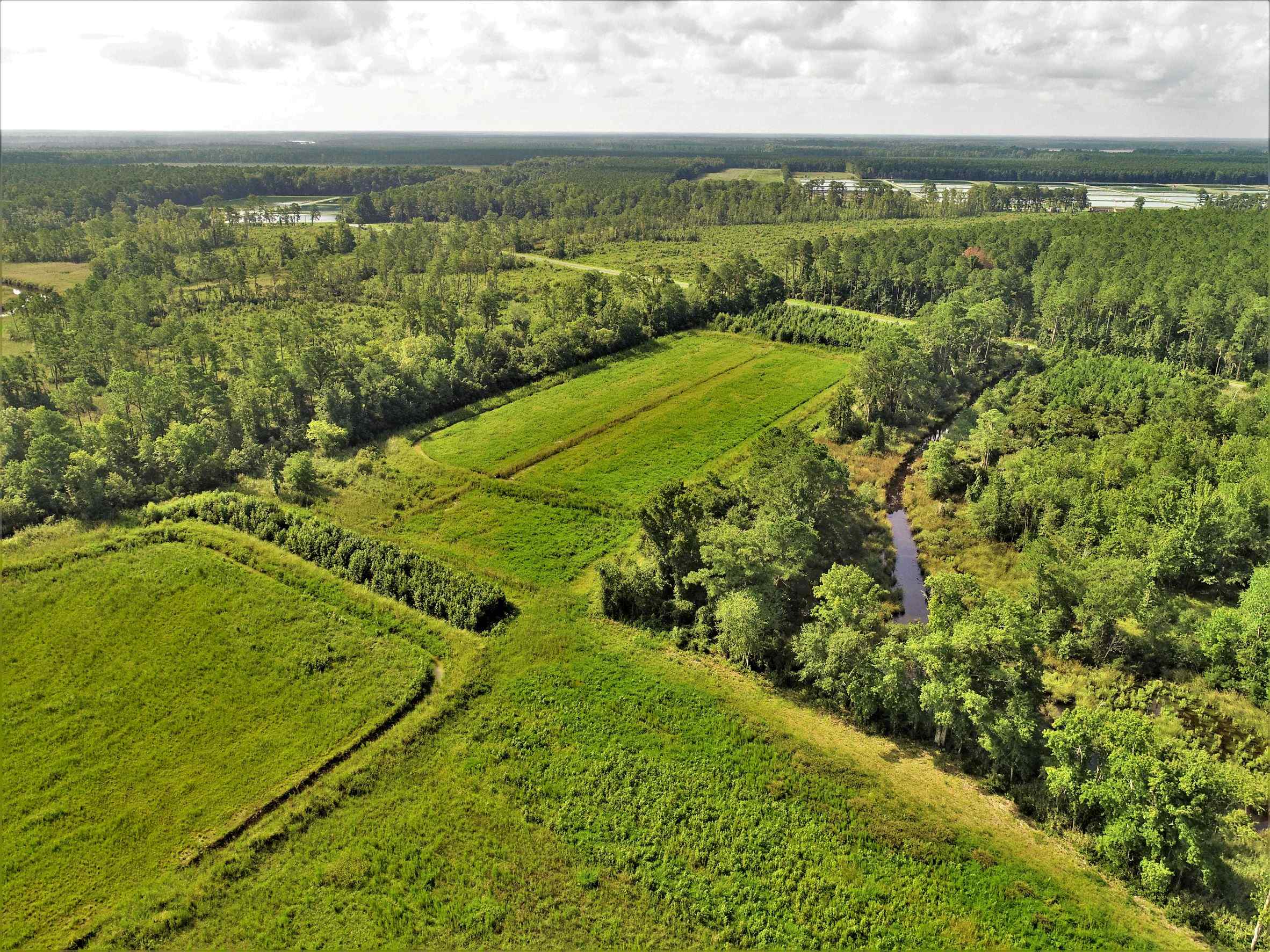 Advance Land and Timber Land for sale property_imgs/7~123.jpg