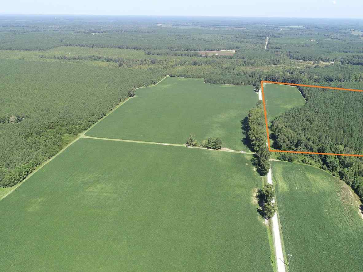 Advance Land and Timber Land for sale property_imgs/7~126.jpg