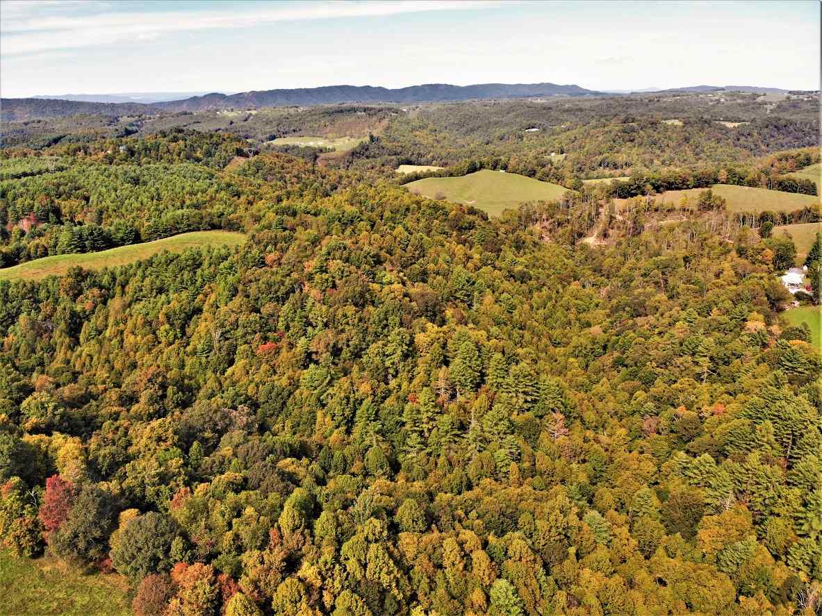 Advance Land and Timber Land for sale property_imgs/7~129.jpg