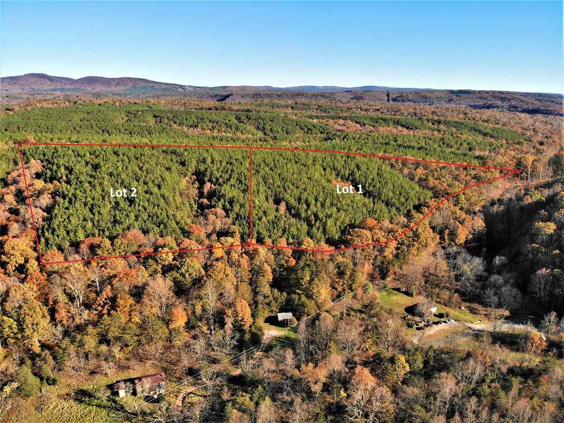 Advance Land and Timber Land for sale property_imgs/7~133.jpg