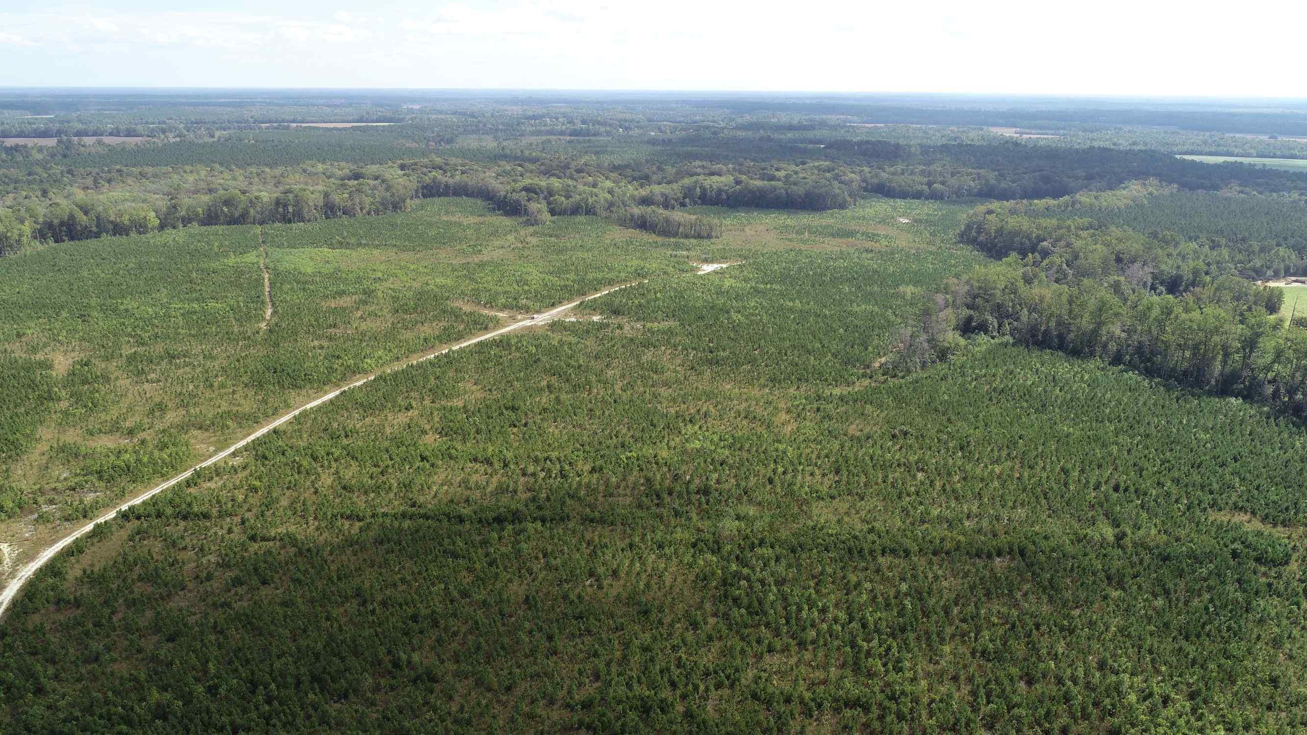 Advance Land and Timber Land for sale property_imgs/7~32.jpg