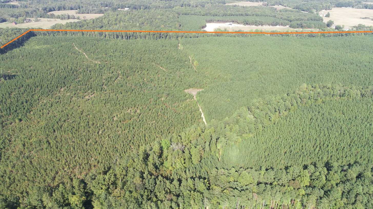 Advance Land and Timber Land for sale property_imgs/7~39.jpg