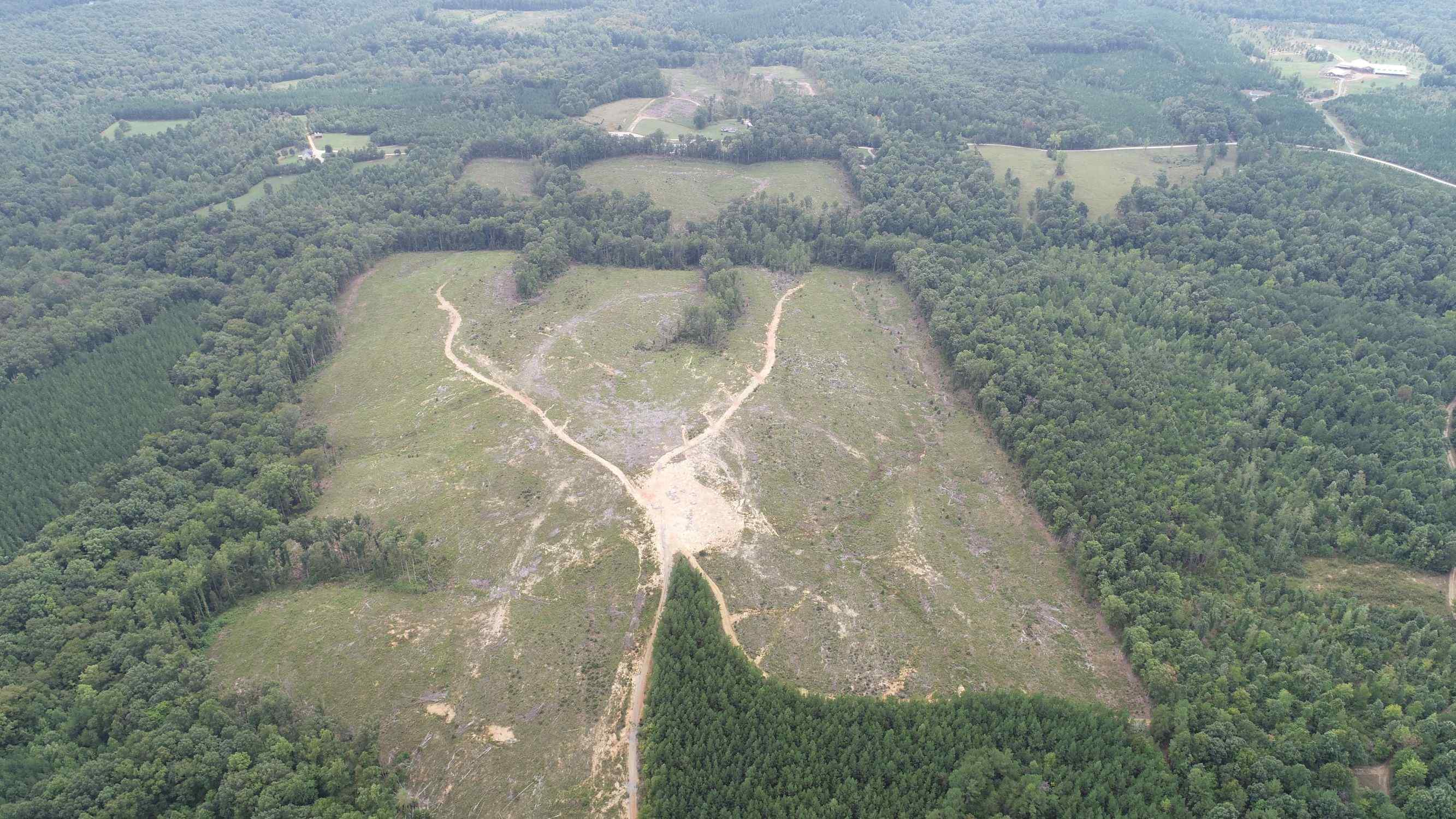 Advance Land and Timber Land for sale property_imgs/7~40.jpg