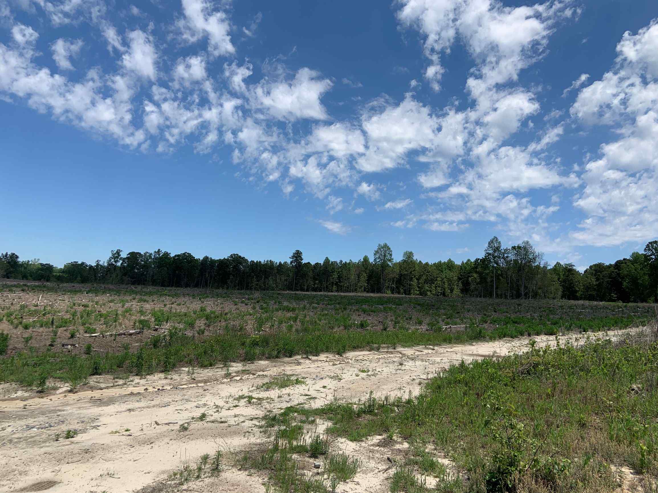 Advance Land and Timber Land for sale property_imgs/7~63.jpg