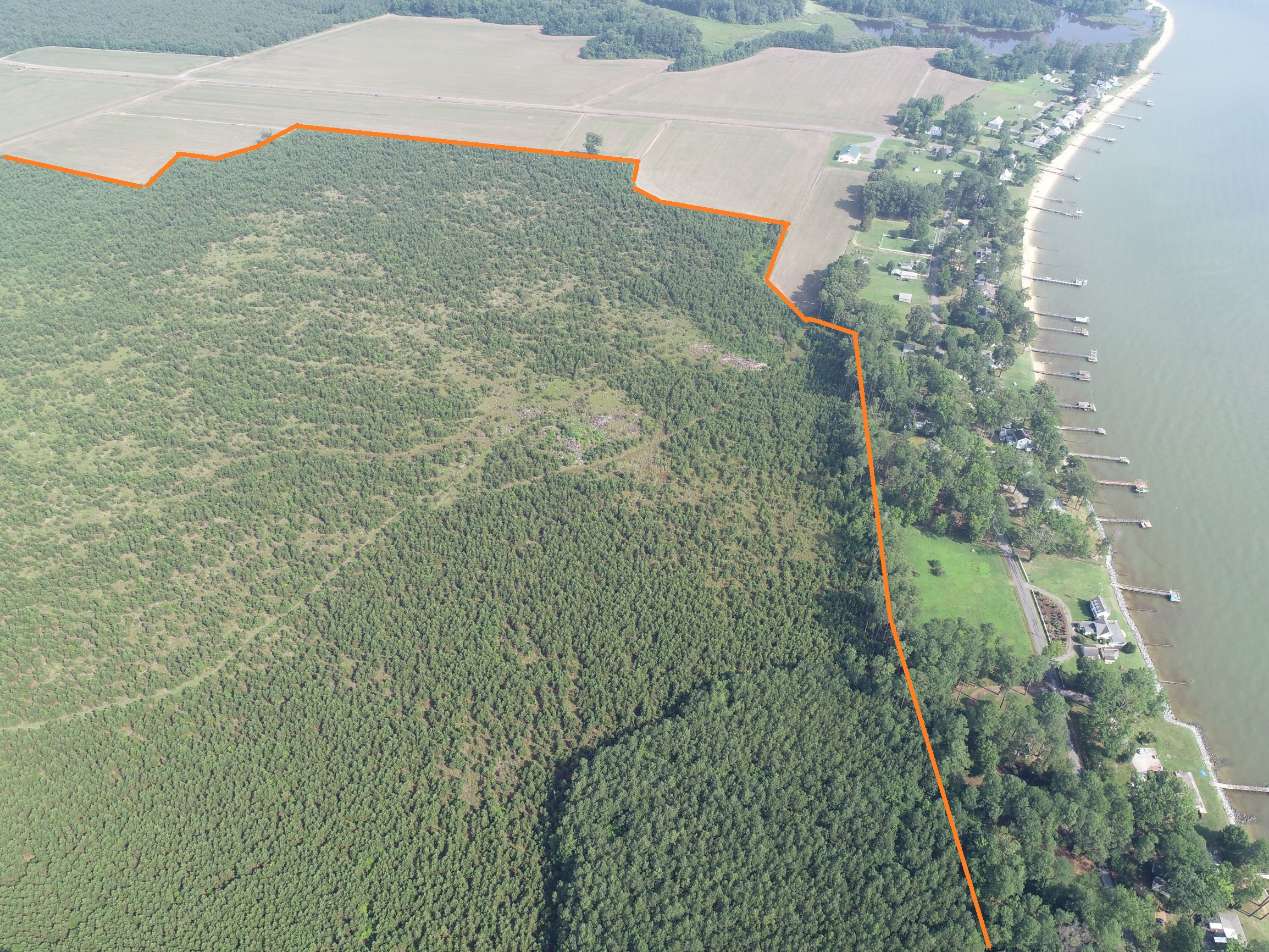 Advance Land and Timber Land for sale property_imgs/7~74.jpg