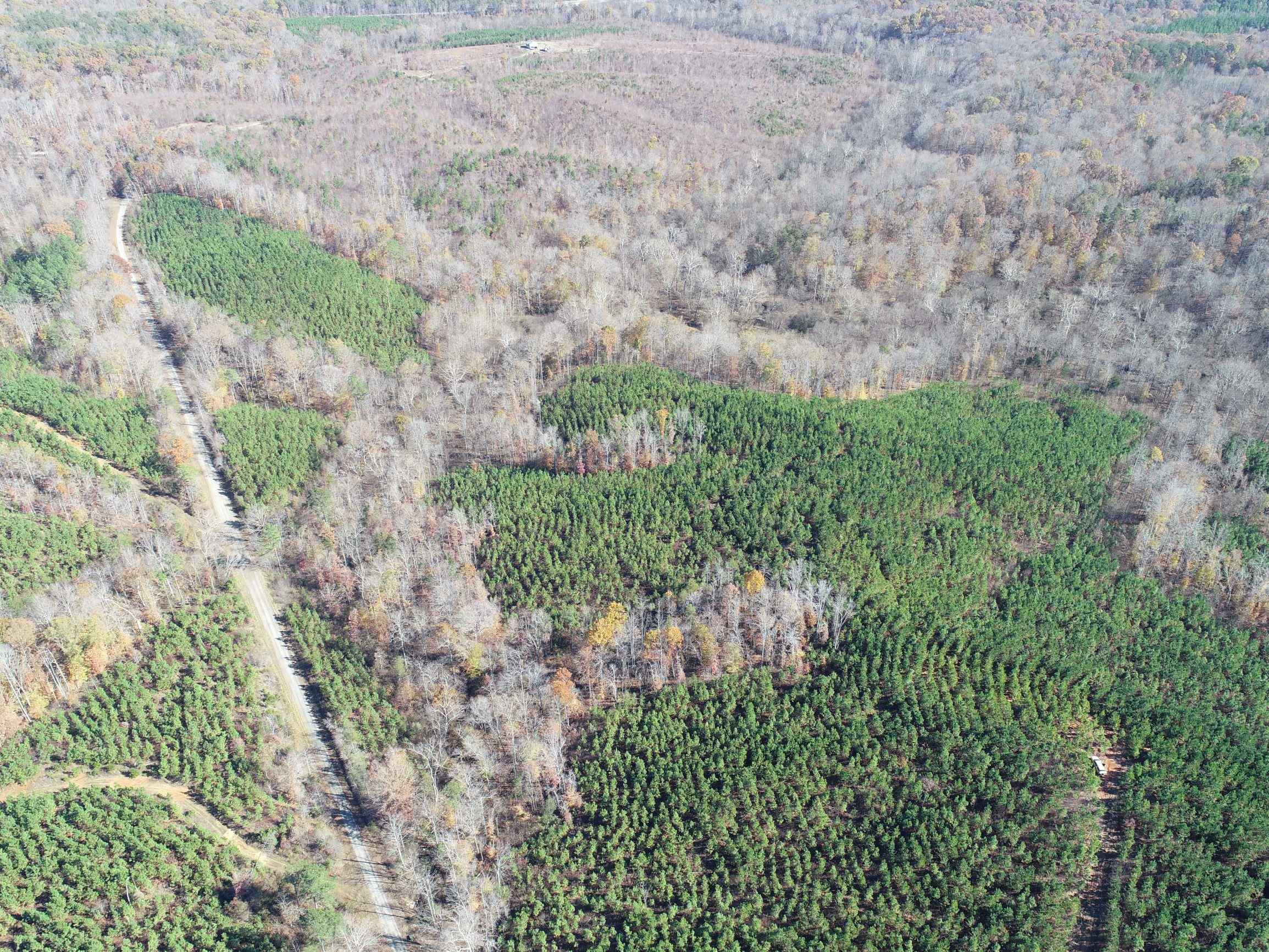 Advance Land and Timber Land for sale property_imgs/7~76.jpg