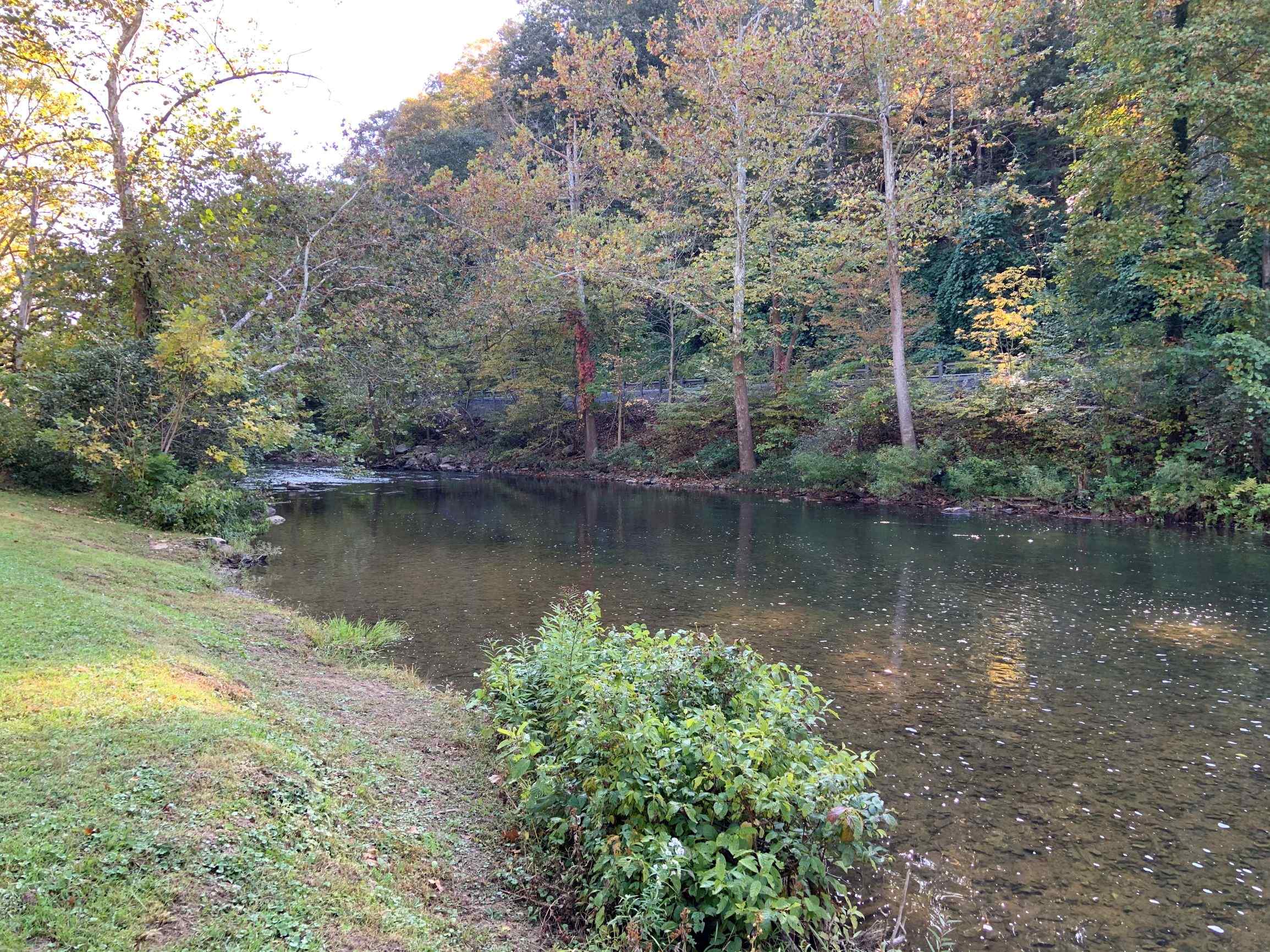 Advance Land and Timber Land for sale property_imgs/7~83.jpg