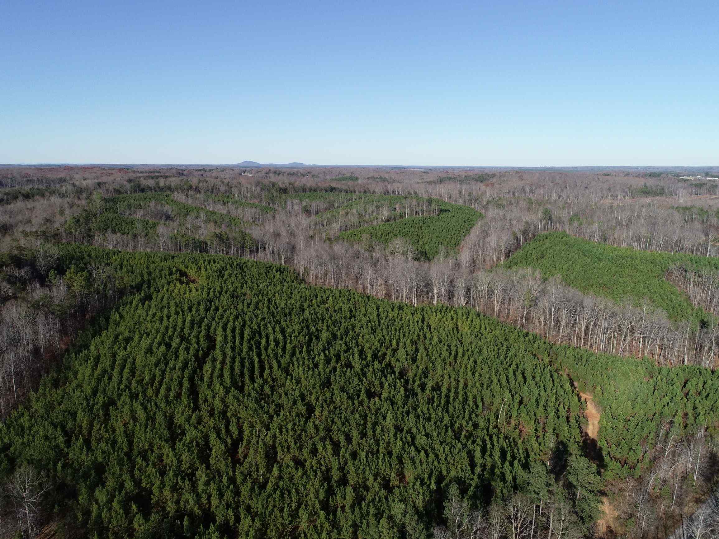 Advance Land and Timber Land for sale property_imgs/7~85.jpg