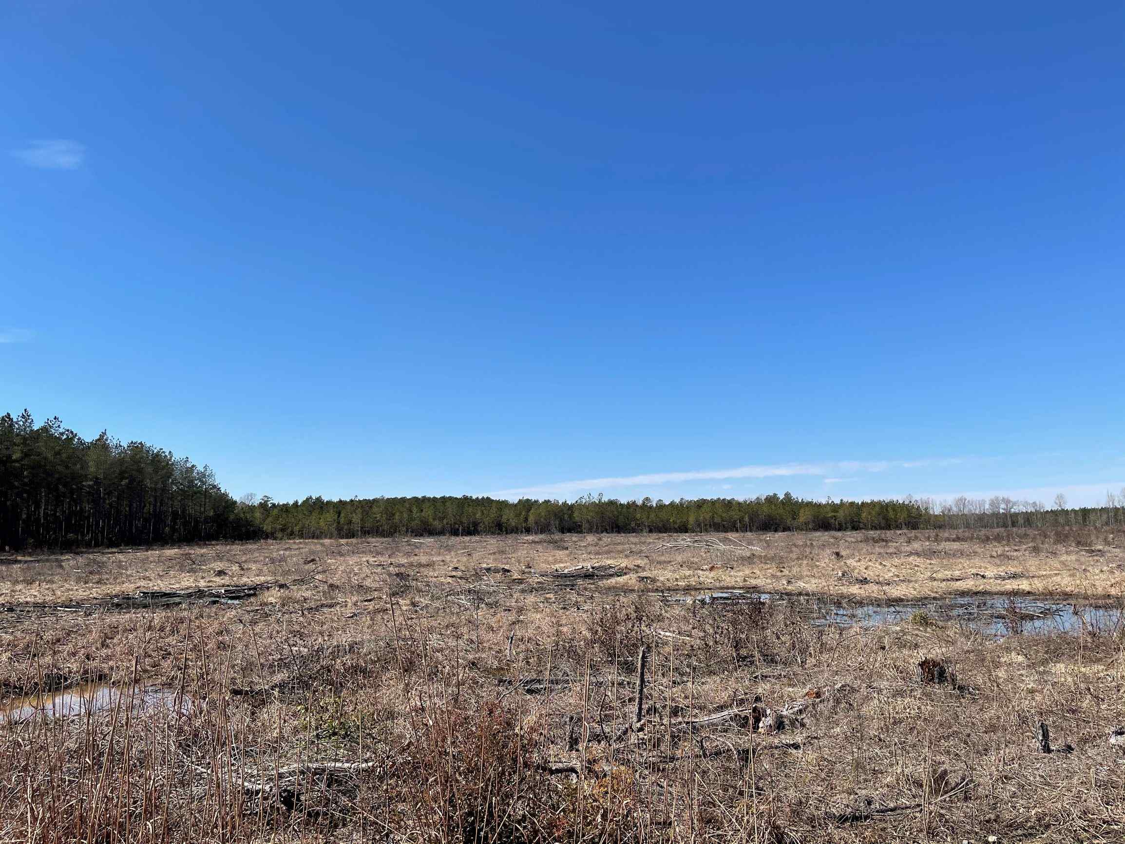 190 acres for sale in Greensville County, VA.