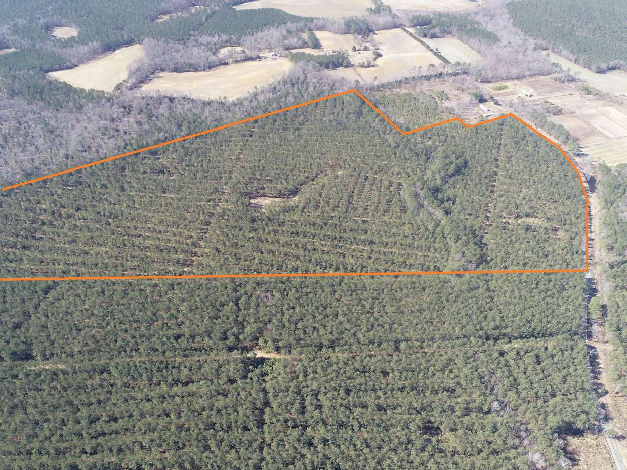 Advance Land and Timber Land for sale property_imgs/7~97.jpg