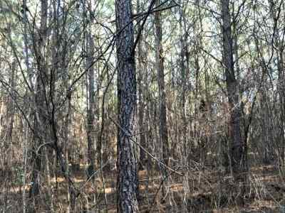 Advance Land and Timber Land for sale property_imgs/812~0.jpg