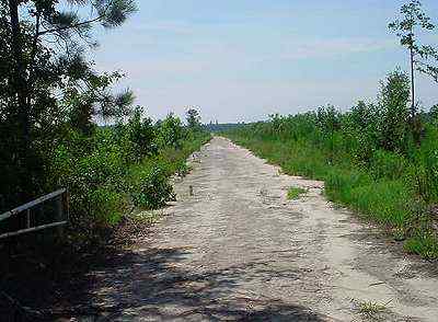 Advance Land and Timber Land for sale property_imgs/829_3~0.jpg