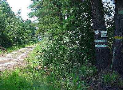 Advance Land and Timber Land for sale property_imgs/829_4~0.jpg