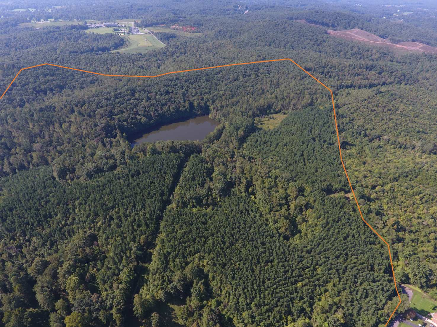 Advance Land and Timber Land for sale property_imgs/85.jpg