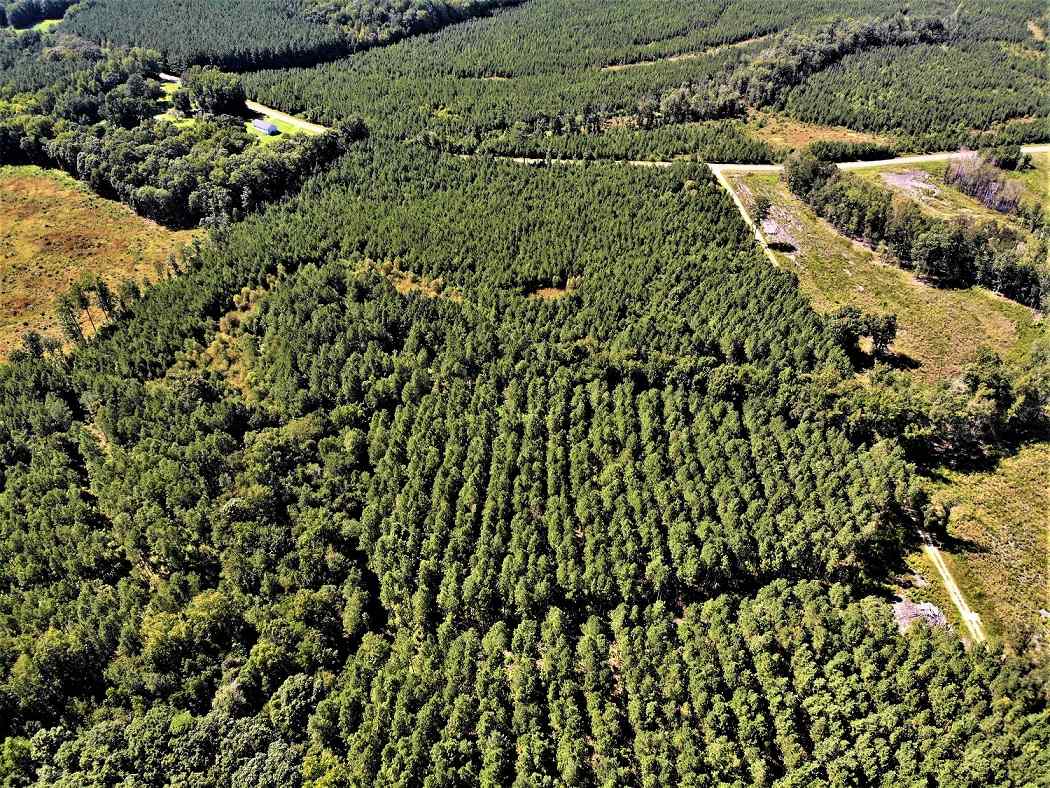 Advance Land and Timber Land for sale property_imgs/85c4ef2f7a943600c97b5903247567b7_1853.jpg