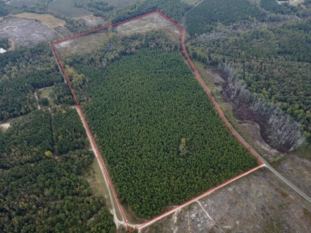 Anson County North Carolina Land for Sale