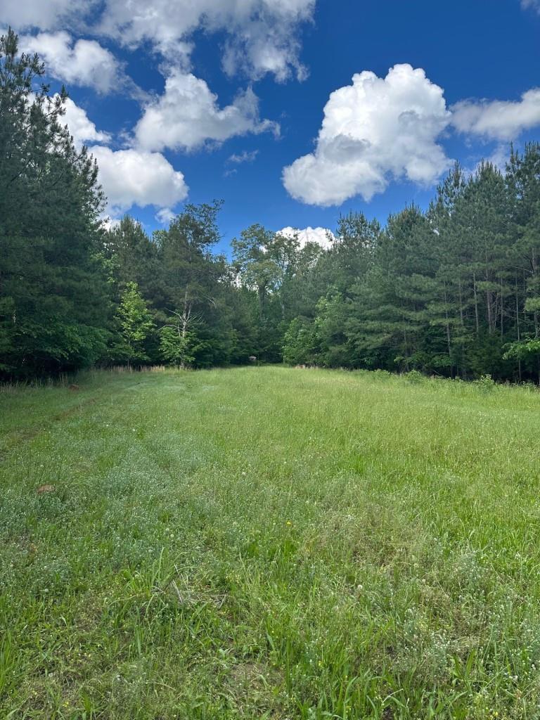 Advance Land and Timber Land for sale property_imgs/8e5231f0eadafd174b670e838e42d97d_2285.jpg