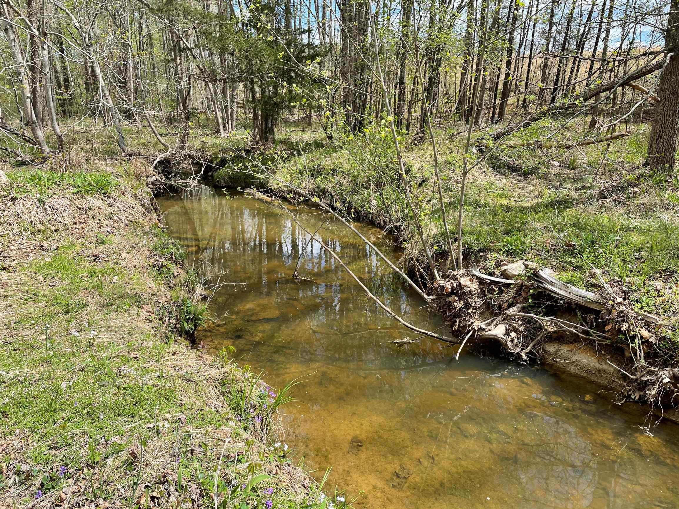 Advance Land and Timber Land for sale property_imgs/8~109.jpg