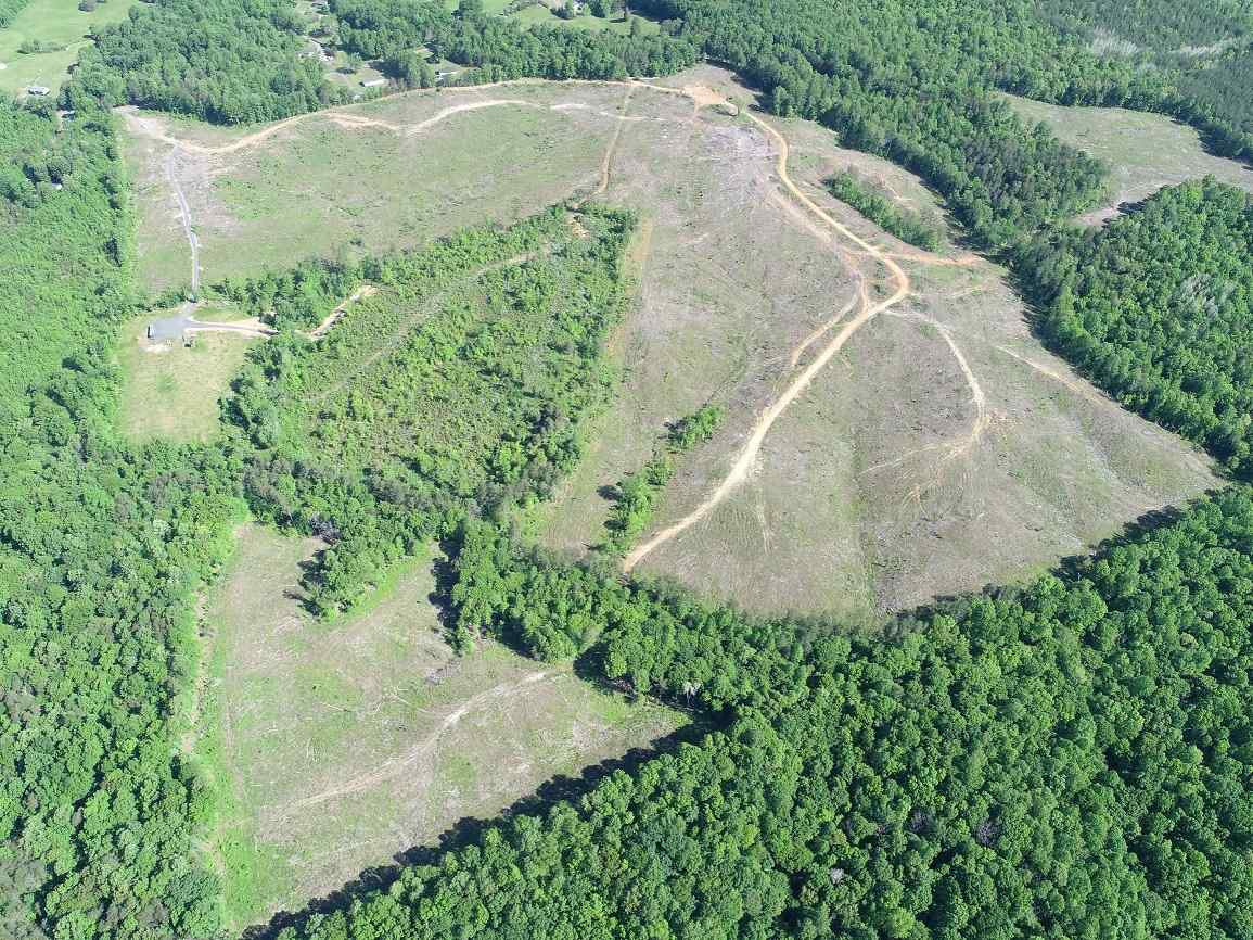 Advance Land and Timber Land for sale property_imgs/8~115.jpg