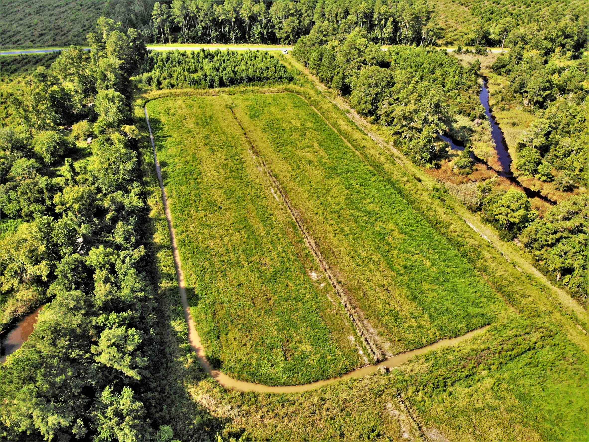 Advance Land and Timber Land for sale property_imgs/8~120.jpg