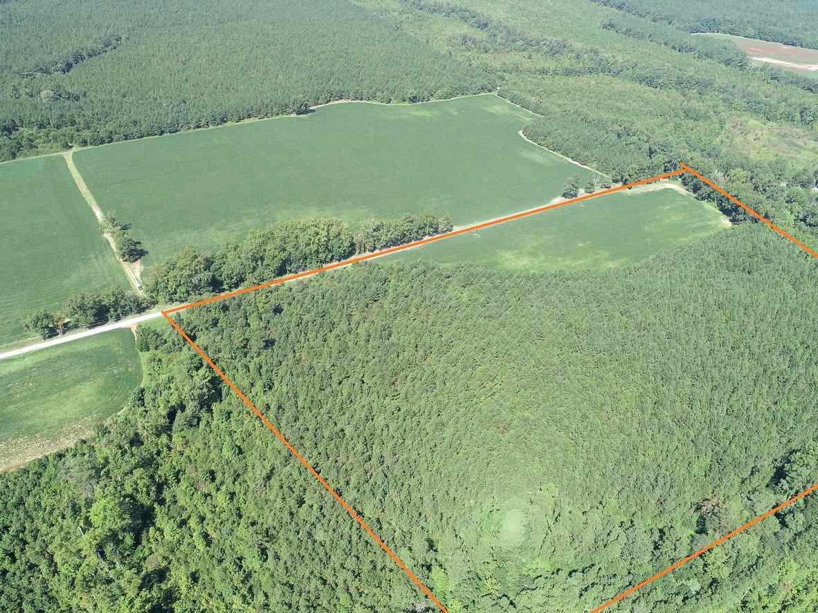 Advance Land and Timber Land for sale property_imgs/8~123.jpg