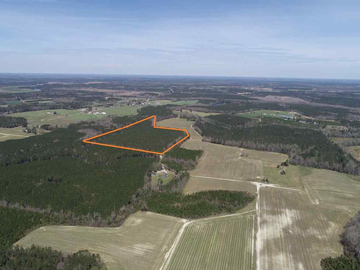 Advance Land and Timber Land for sale property_imgs/8~150.jpg