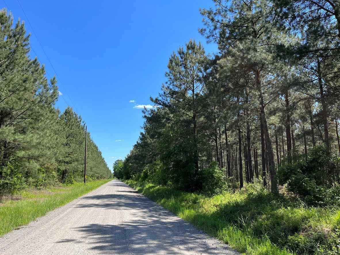 Advance Land and Timber Land for sale property_imgs/8~163.jpg