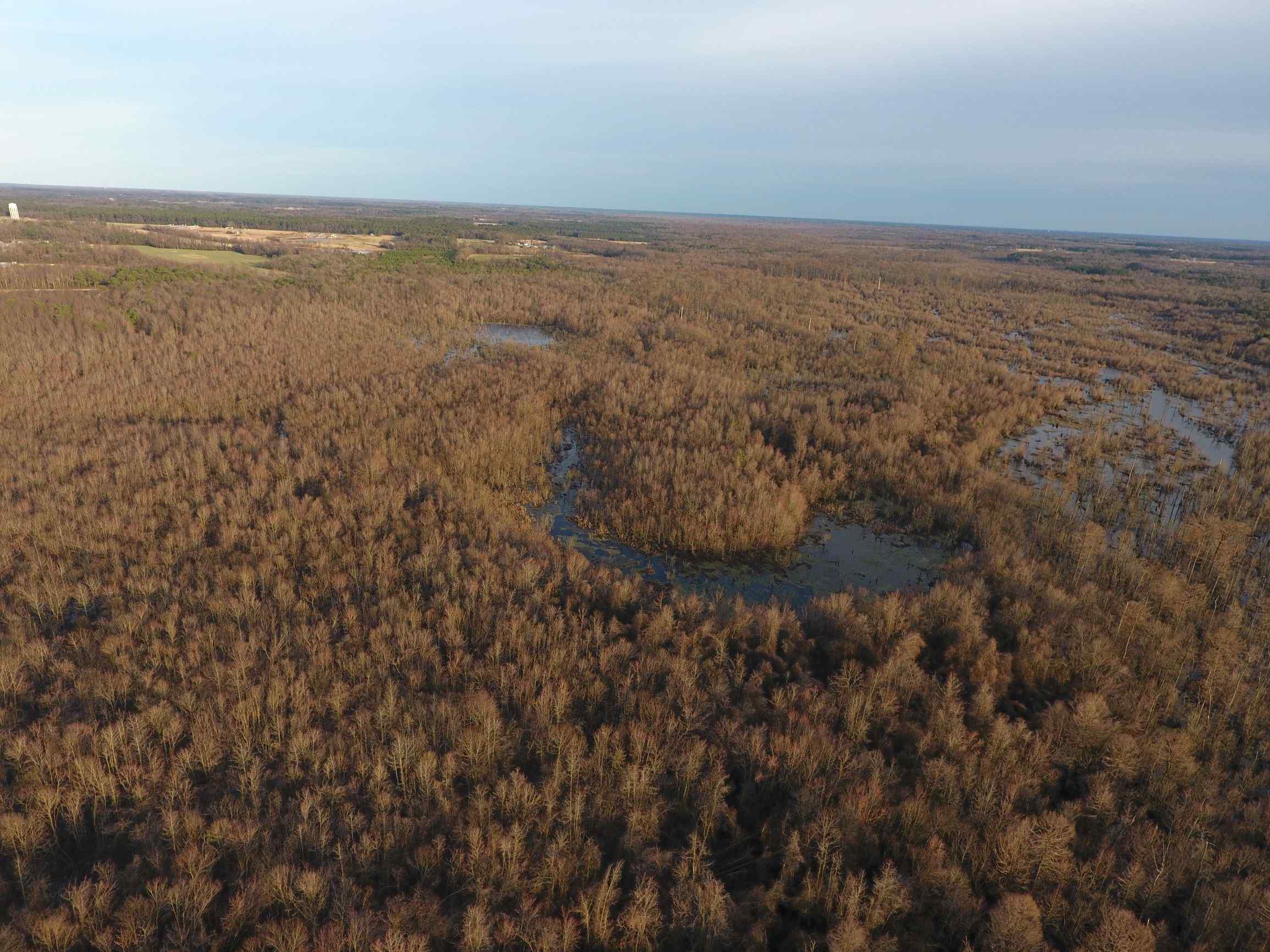 Advance Land and Timber Land for sale property_imgs/8~22.jpg