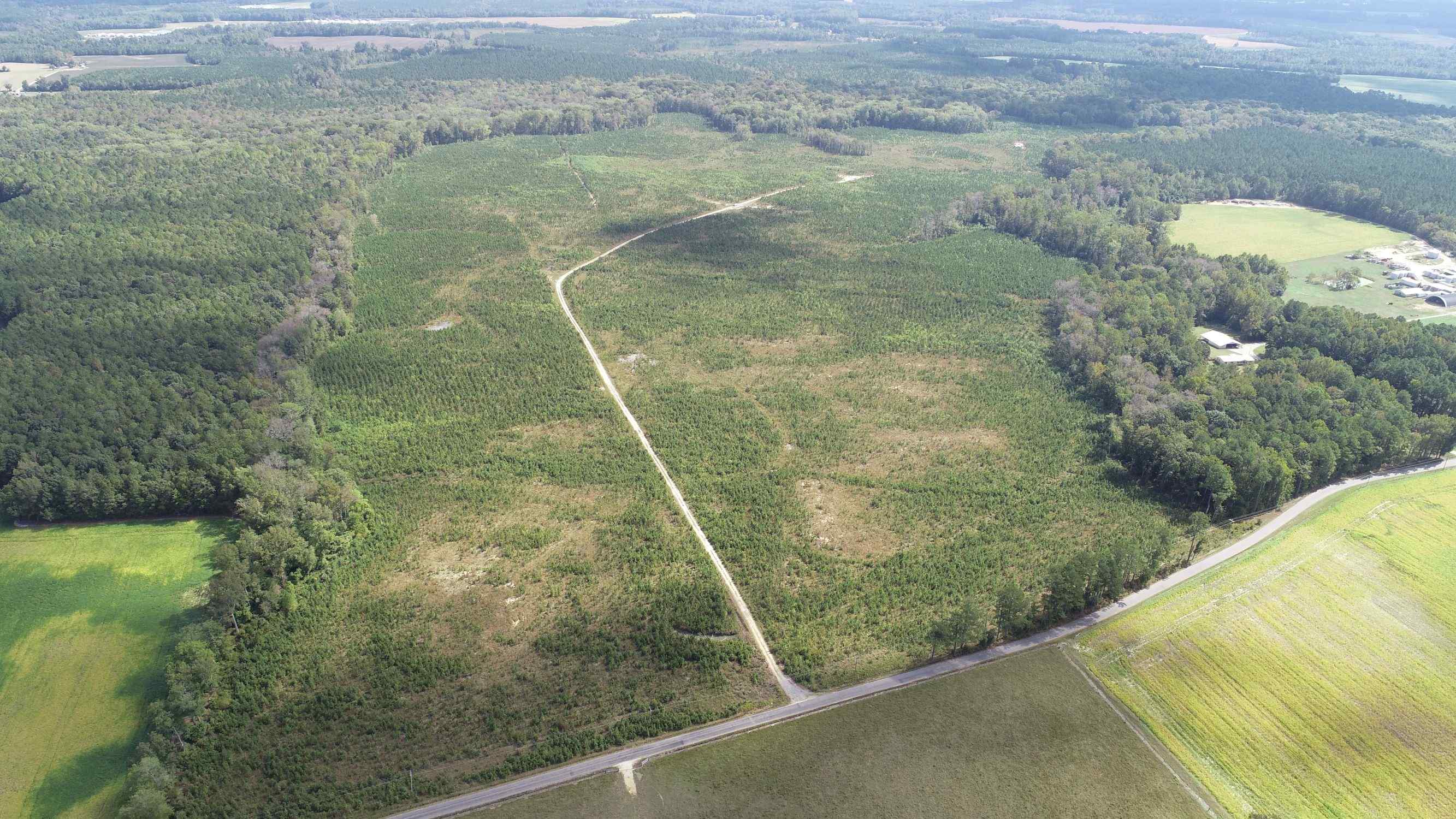 Advance Land and Timber Land for sale property_imgs/8~30.jpg