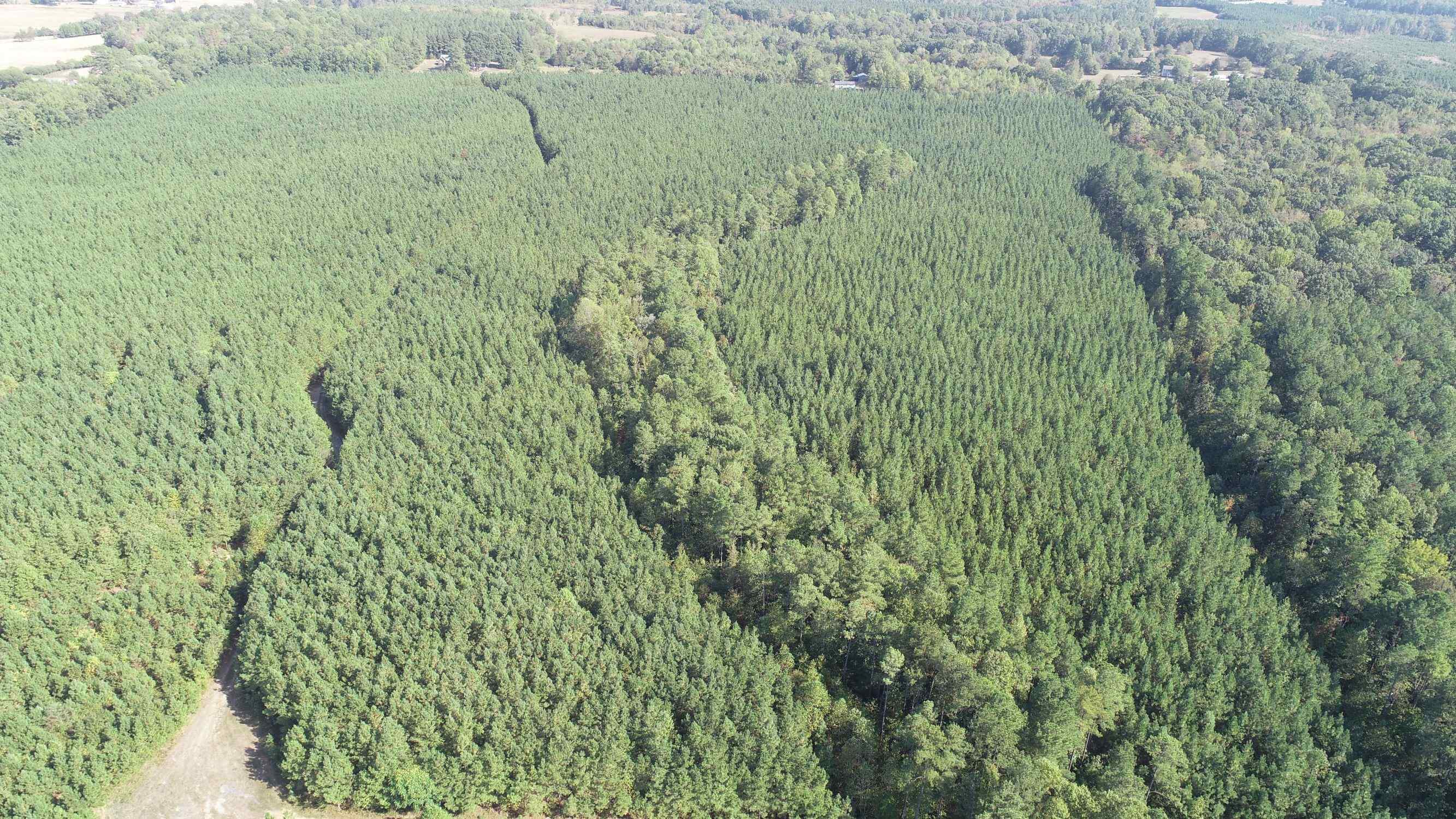 Advance Land and Timber Land for sale property_imgs/8~37.jpg