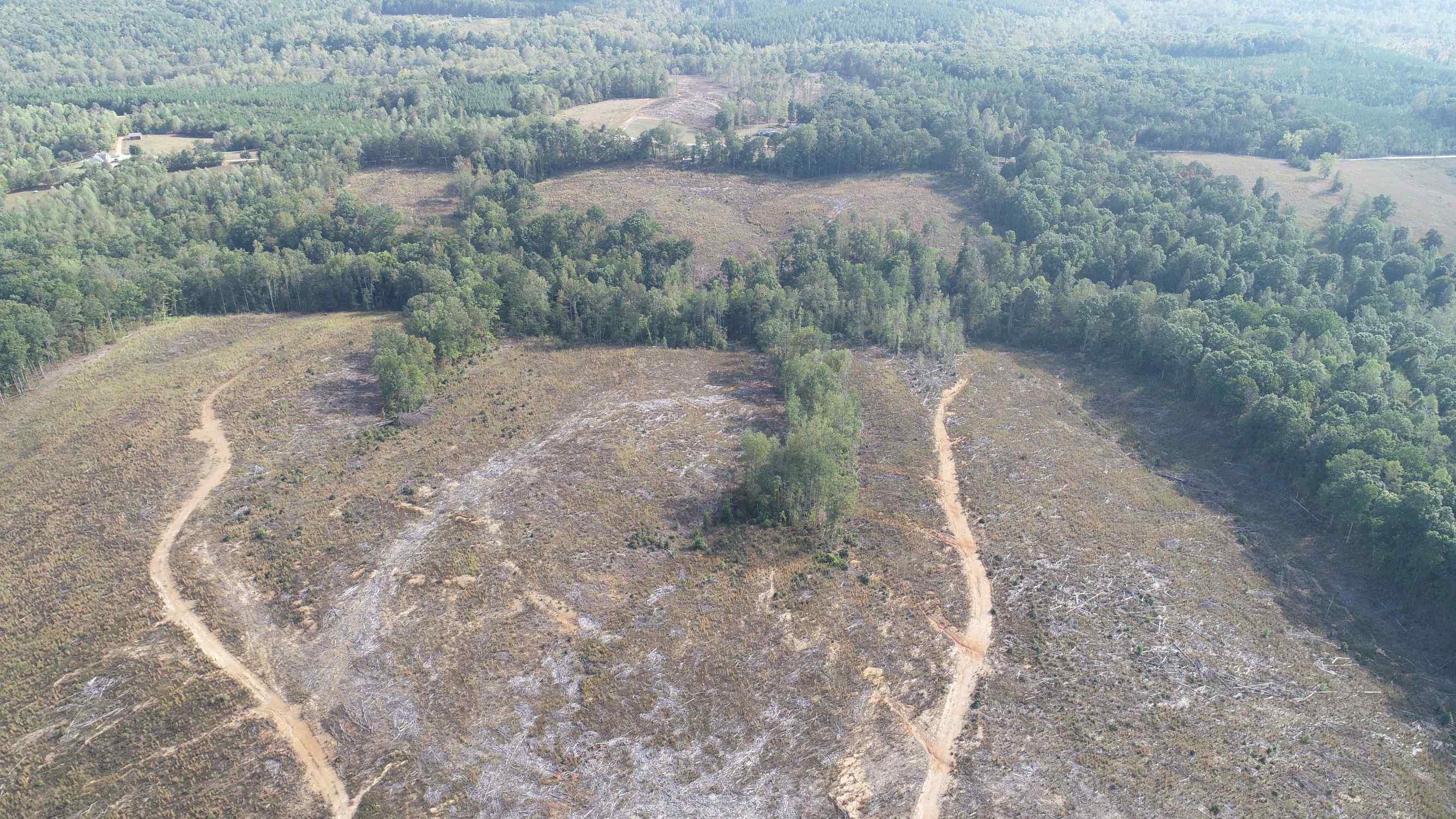 Advance Land and Timber Land for sale property_imgs/8~38.jpg