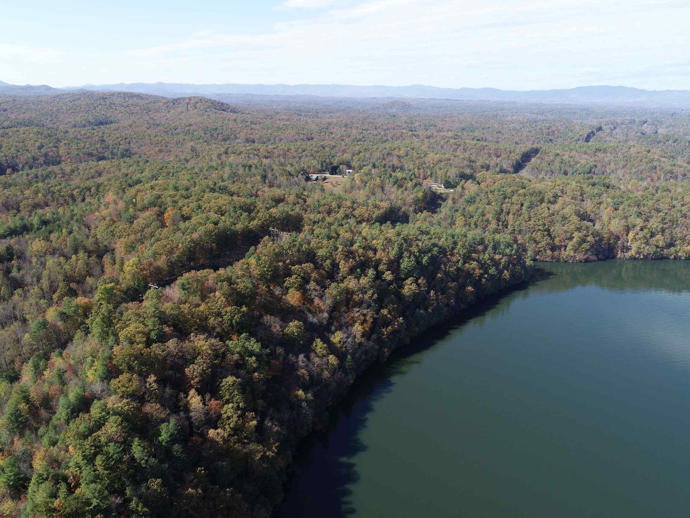Advance Land and Timber Land for sale property_imgs/8~49.jpg