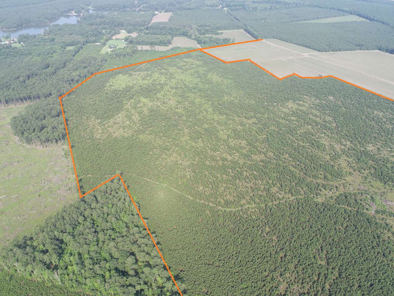 Advance Land and Timber Land for sale property_imgs/8~71.jpg