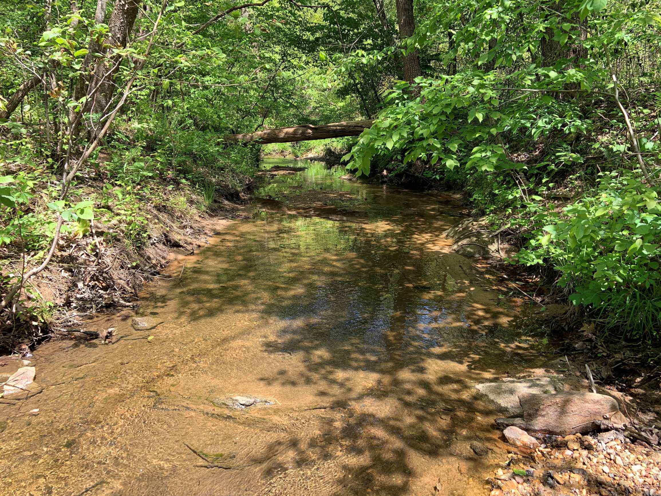 Advance Land and Timber Land for sale property_imgs/8~73.jpg