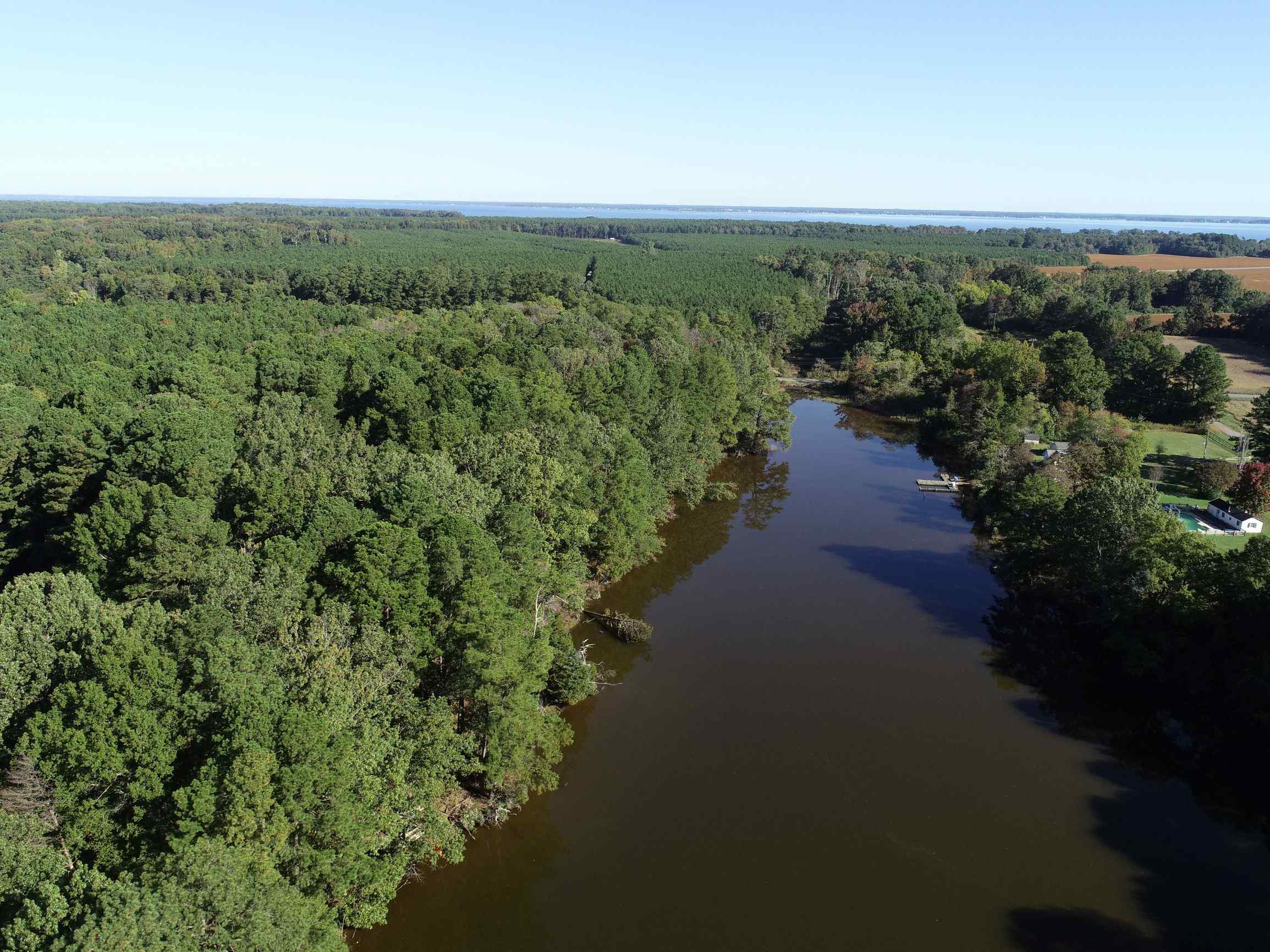 Advance Land and Timber Land for sale property_imgs/8~78.jpg