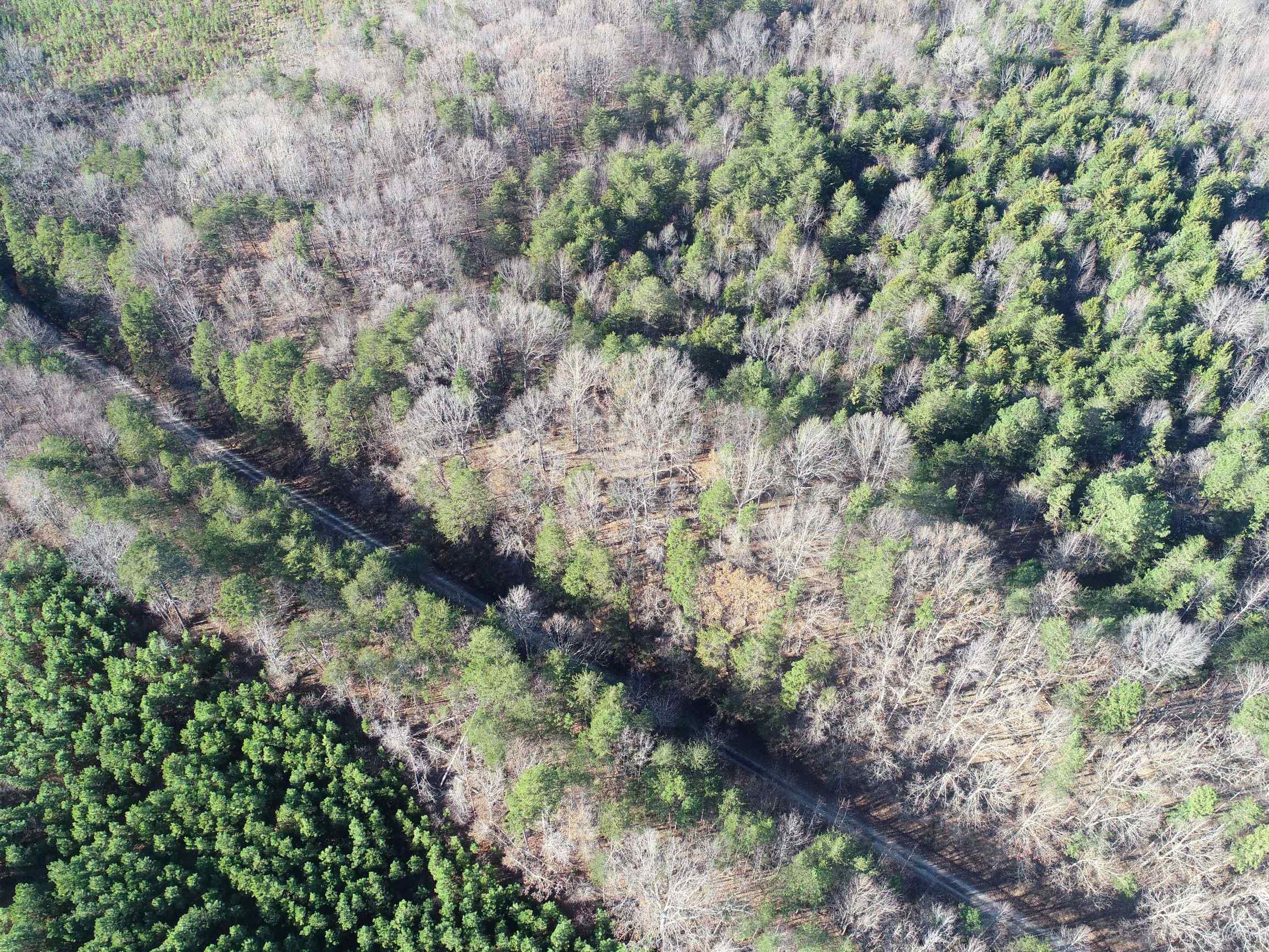 Advance Land and Timber Land for sale property_imgs/8~83.jpg