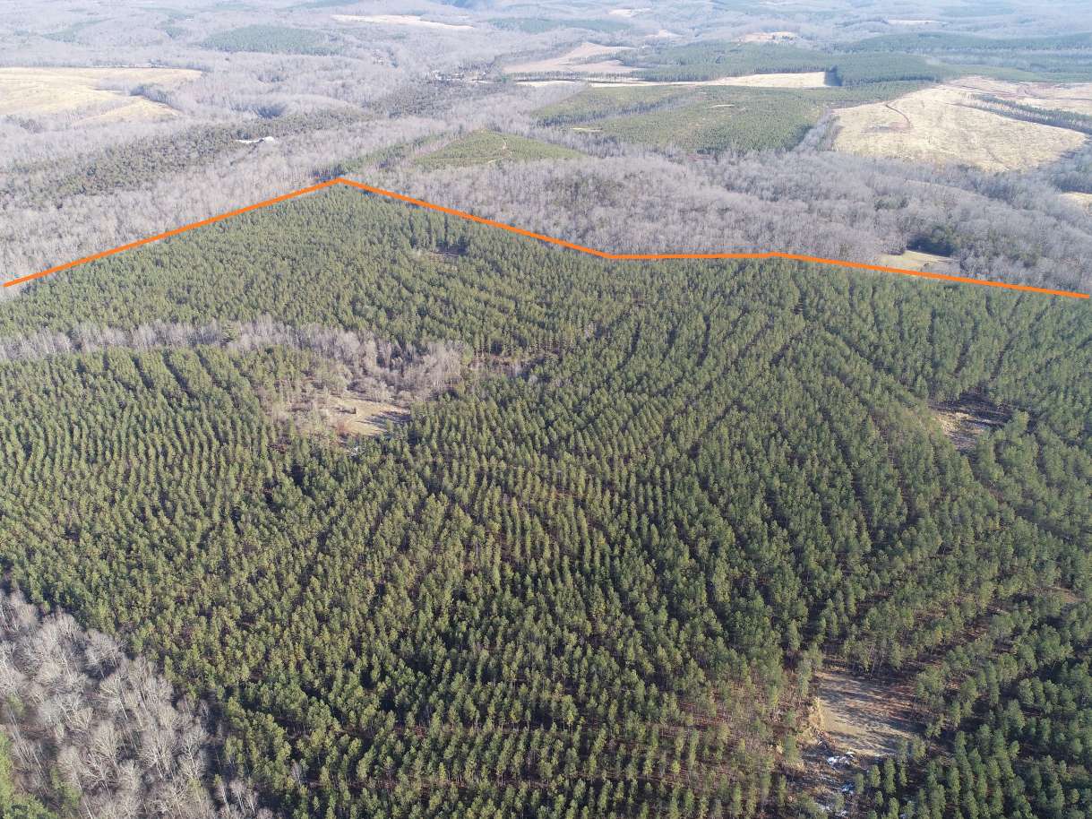 Advance Land and Timber Land for sale property_imgs/8~98.jpg