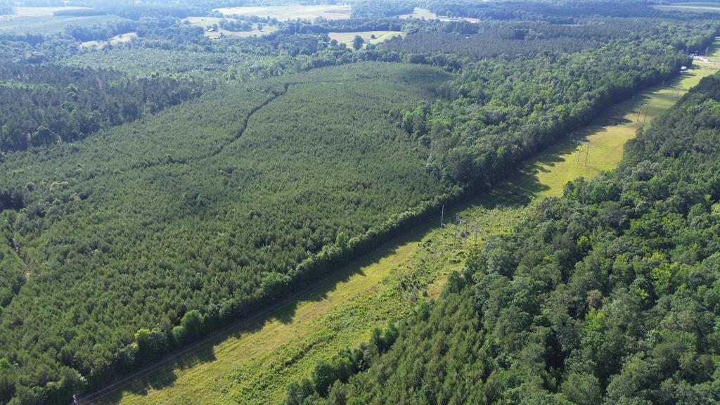 Advance Land and Timber Land for sale property_imgs/907edb0aa6986220dbffb79a788596ee_2294.jpg