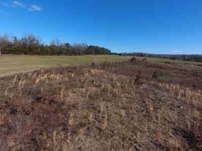 Advance Land and Timber Land for sale property_imgs/912~0.jpg