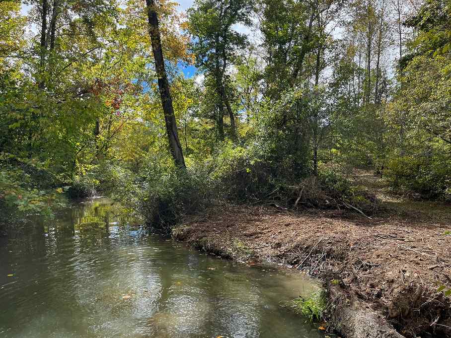Advance Land and Timber Land for sale property_imgs/915e3742d51cb477268ba29275c3ce09.jpg