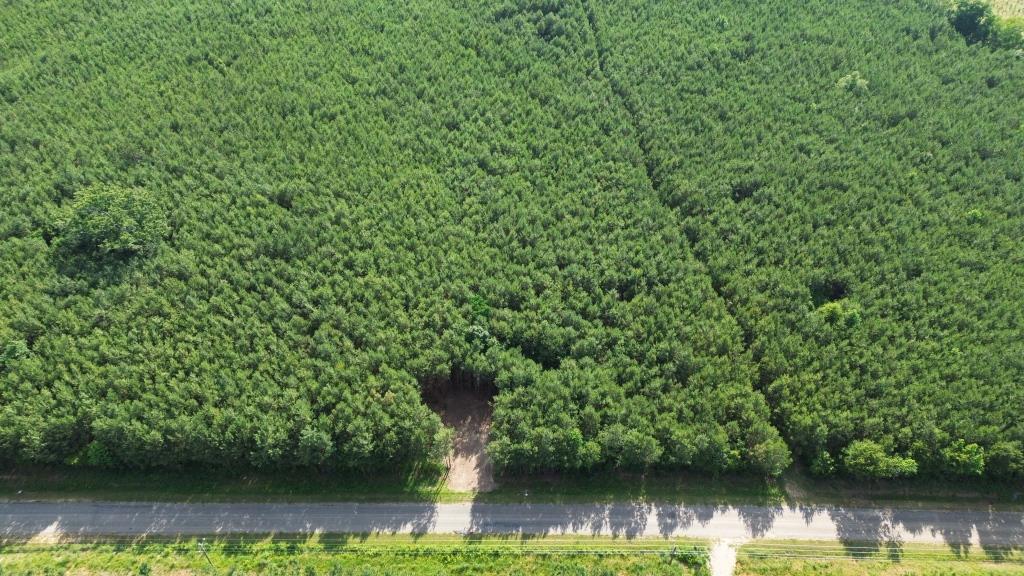 Advance Land and Timber Land for sale property_imgs/9185f3ec501c674c7c788464a36e7fb3_2294.jpg