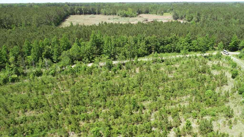 Advance Land and Timber Land for sale property_imgs/91~3.jpg