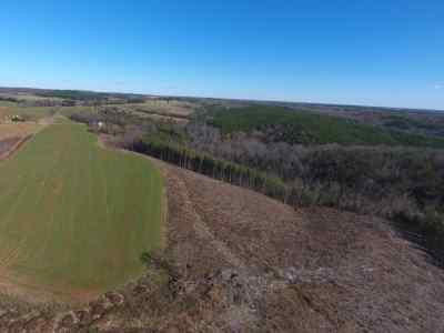 Advance Land and Timber Land for sale property_imgs/922~0.jpg